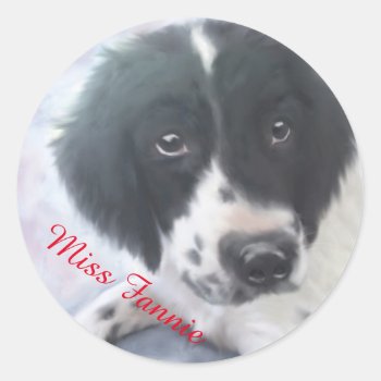 Miss Fannie - English Springer Spaniel Sticker by SannelDesign at Zazzle