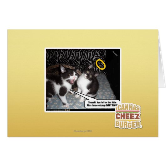 Miss Innocent Cards (Front Horizontal)