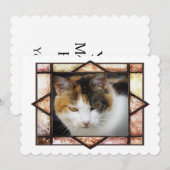 Miss Kitty (Front/Back)
