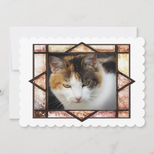 Miss Kitty (Front)