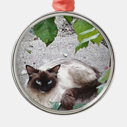 Miss Kitty Digital Painting Metal Ornament