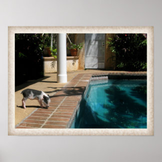 Miss Piggy in Paradise Poster