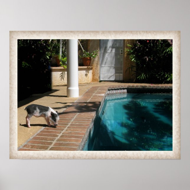 Miss Piggy in Paradise Poster (Front)