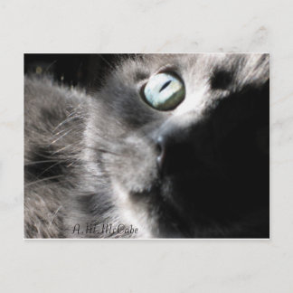 "Miss Precious" Postcard