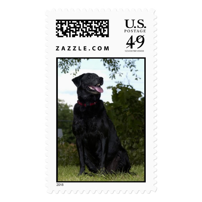 Miss Sally Postage Stamp