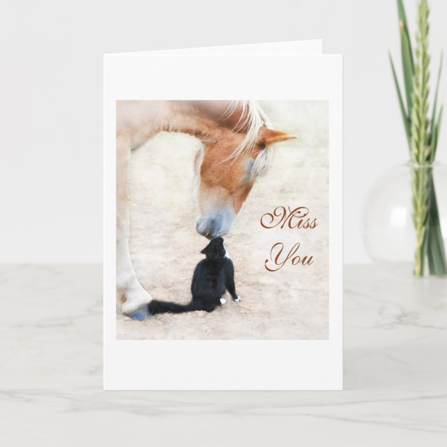 Miss You - a big horse and a tiny cat nose to nose Card (Front)