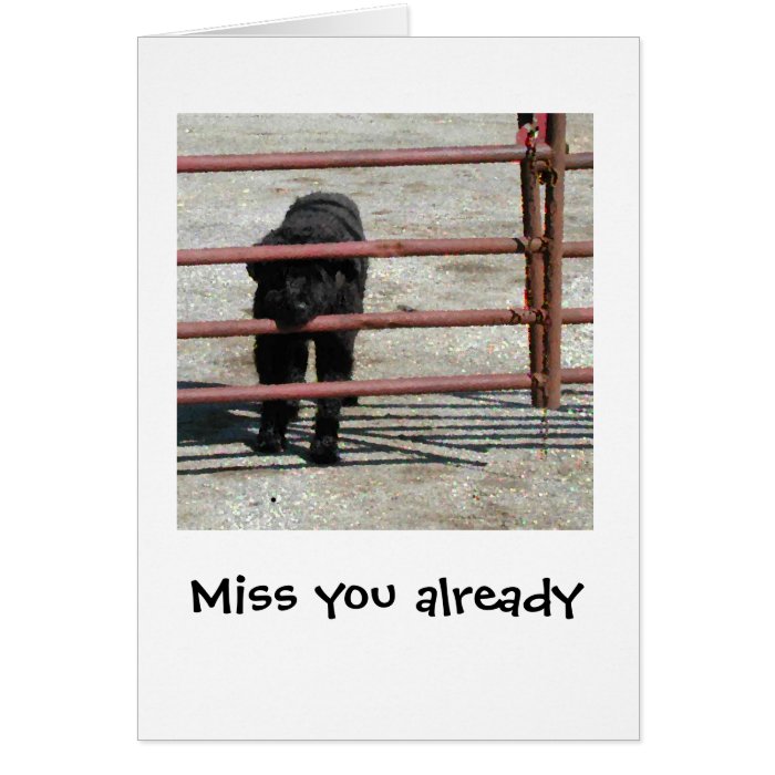 Miss you already greeting card