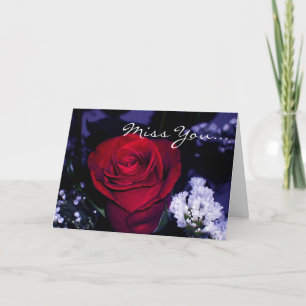 Miss You!-Beautiful Red Rose with romantic quote. Holiday Card