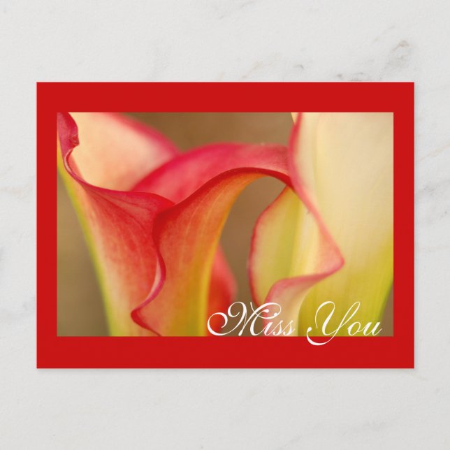 Miss You Calla Lily Postcard (Front)