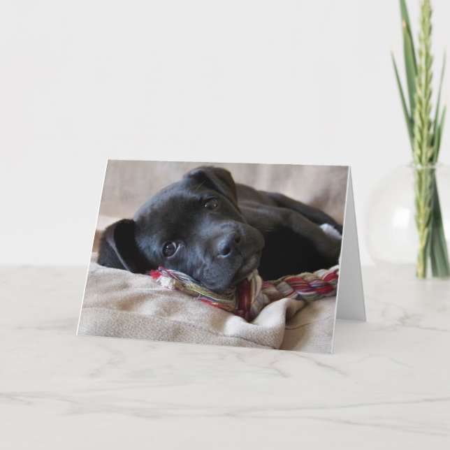 Miss You! Card (Front)