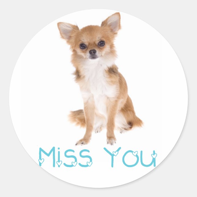 Miss You Chihuahua Puppy Dog Sticker Label (Front)