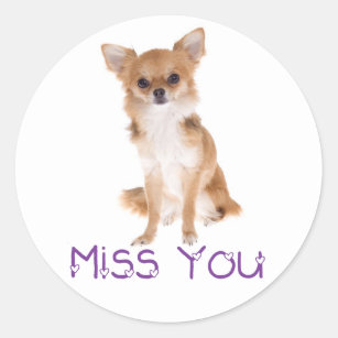 Miss You Chihuahua Puppy Dog Thinking of You Love Classic Round Sticker
