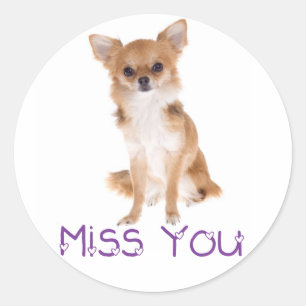 Miss You Chihuahua Puppy Dog Thinking of You Love Classic Round Sticker