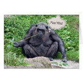 Miss You Chimpanzee (Front Horizontal)