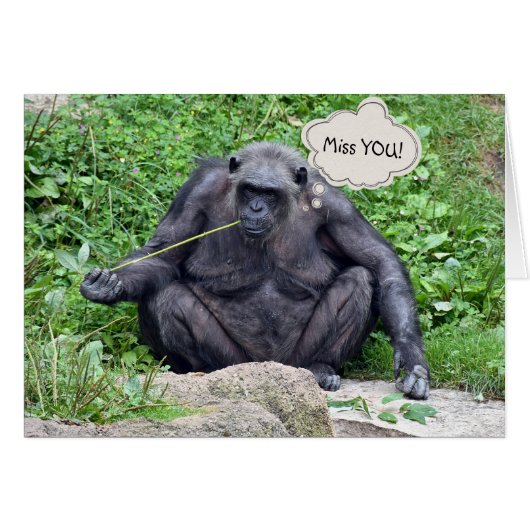 Miss You Chimpanzee Cards (Front Horizontal)