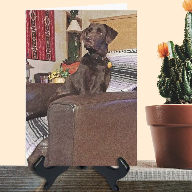 Miss You Chocolate Labrador Retriever On Chair  Card (Creator Uploaded)