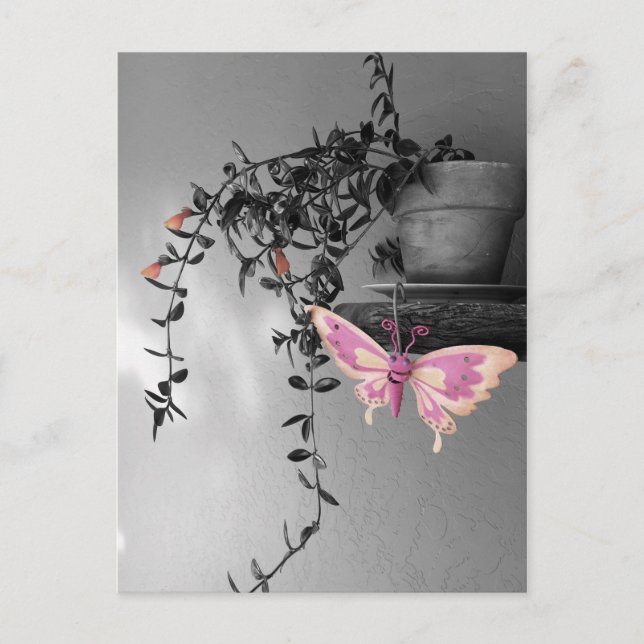 Miss You Color Splash Butterfly Still Life Photo Postcard (Front)