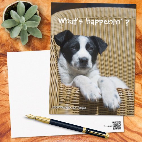 Miss You Cute Black and White Puppy Photo Custom Postcard
