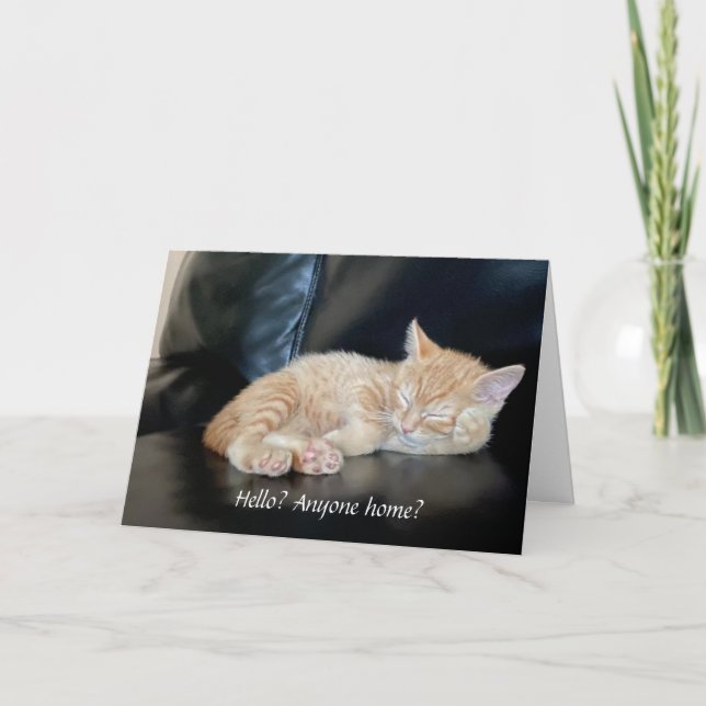 Miss you Cute Orange Kitten Card Anyone Home? (Front)