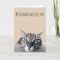 Miss You From Cat Funny
