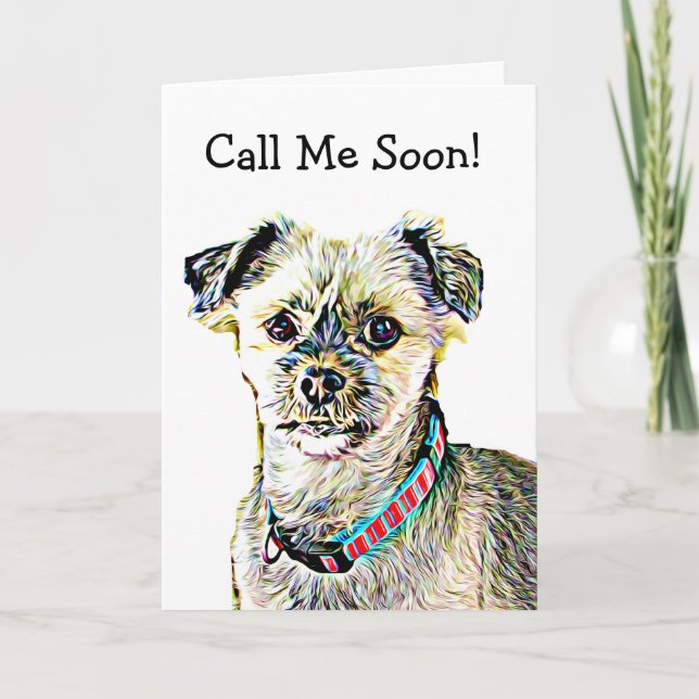 Miss You, Funny Shitzu Dog Card (Front)