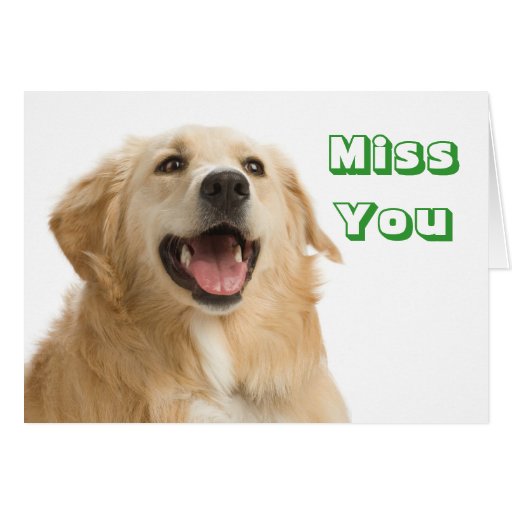 Miss You Golden Retriever Puppy Dog Greeting Card | Zazzle