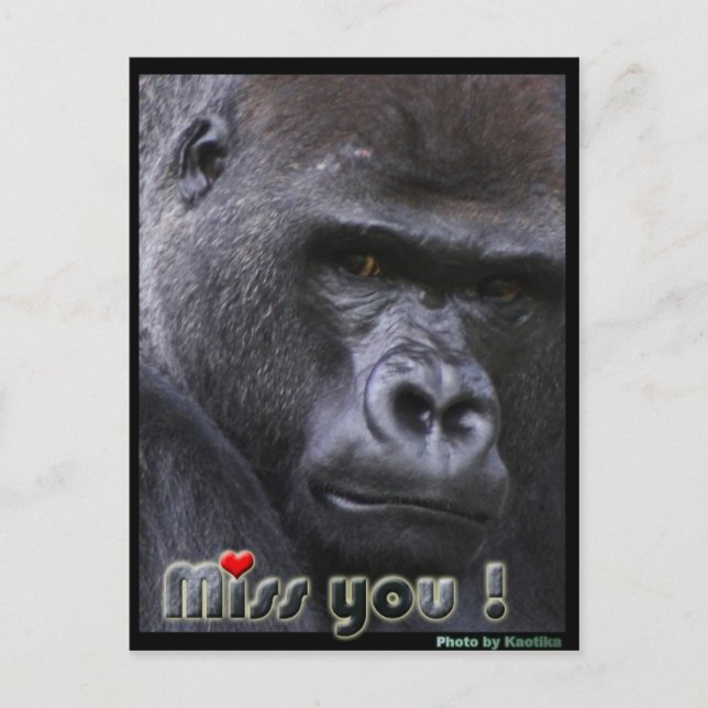 Miss you Gorilla Postcard (Front)