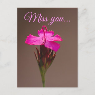 Miss you. postcard