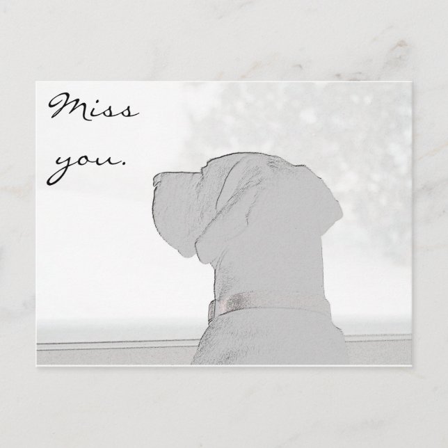 Miss you. postcard (Front)