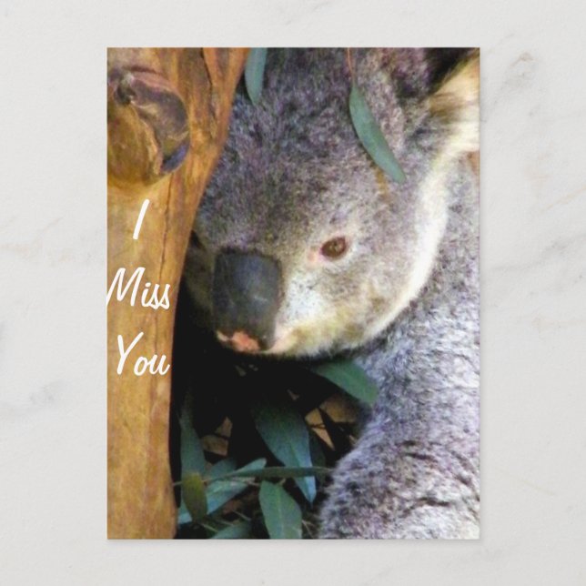 Miss You_ Postcard (Front)