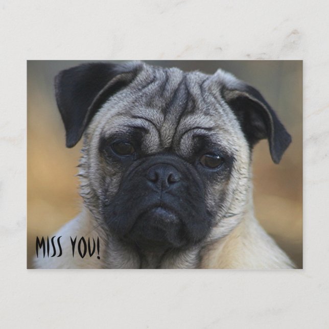 Miss YOU! Postcard (Front)