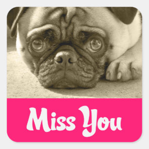 Miss You Pug Puppy Dog Greeting Stickers
