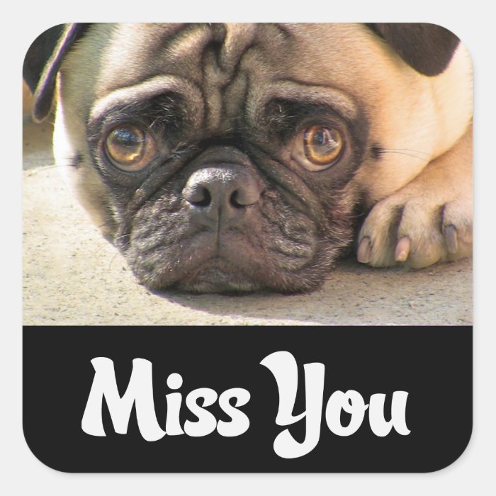 Miss You Pug Puppy Dog Greeting Stickers