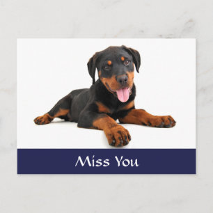 Miss You Rottweiler Puppy Dog Greeting Postcard