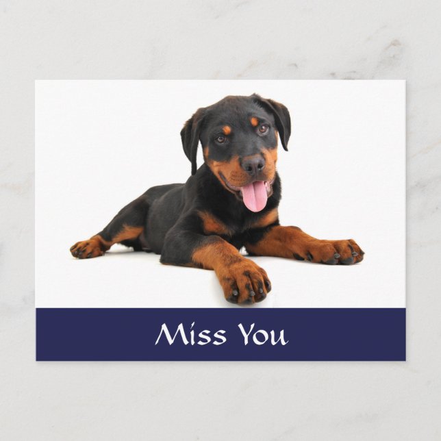 Miss You Rottweiler Puppy Dog Greeting Postcard (Front)
