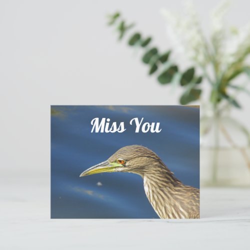 Miss You Sad Brown Bird Long Distance Friendship Postcard