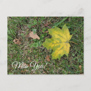 Miss You, Single Fall Leaf Postcard