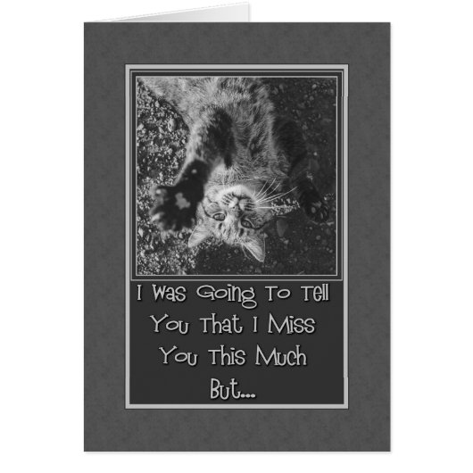 Miss You Stretching Kitty Cards (Front)