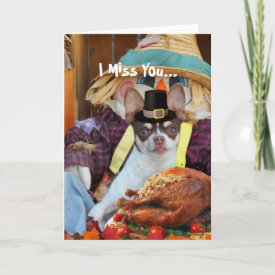 Miss You Thanksgiving Chihuahua dog Holiday Card