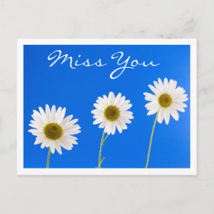 Miss You White Daisy Floral Greeting Postcard