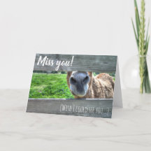 Miss You Wish I Could See You Blank