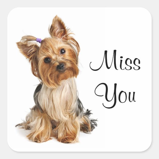 Miss You Yorkshire Terrier Puppy  Dog Stickers (Front)