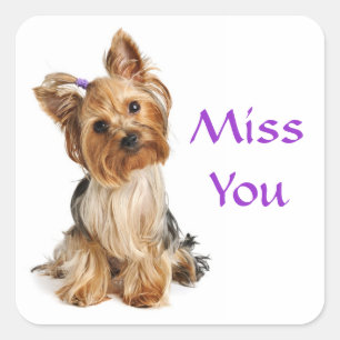 Miss You Yorkshire Terrier Puppy Dog Stickers