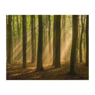 Missed and Loved Wood Wall Art