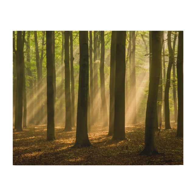 Missed and Loved Wood Wall Art (Front)