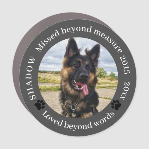 Missed Beyond Measure Pet Photo Memorial Car Magnet