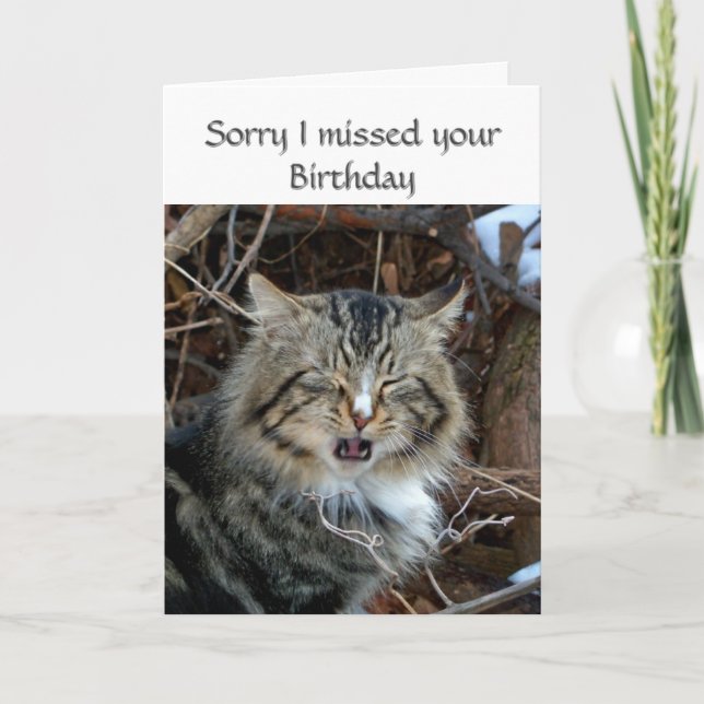 Missed Birthday Cat Photo Greeting  Card (Front)