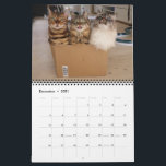 Missenell 2021 calendar<br><div class="desc">This is the official Missenell Calender for 2021.
The calender contains some of their most popular photos and some brand new photos.</div>