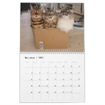 Missenell 2021 calendar Missenell 2021 calendar