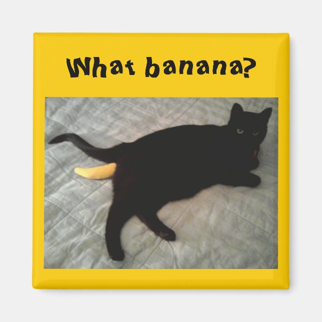 Missing banana cat toy magnet (Front)